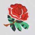 Scudetto della Rosa Inghilterra rugby