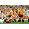 Australia rugby 1991