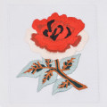 rosa della nazionale inglese di rugby
