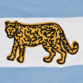Pumas Argentina scudo